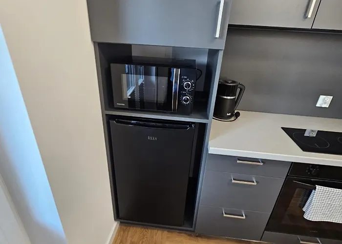 Luxury Wilcza 15 By Marta Klimatyzacja Lejlighed *